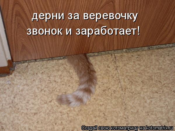 дерни за веревочку звонок и заработает!... Котоматрица: дерни за веревочку звонок и заработает!