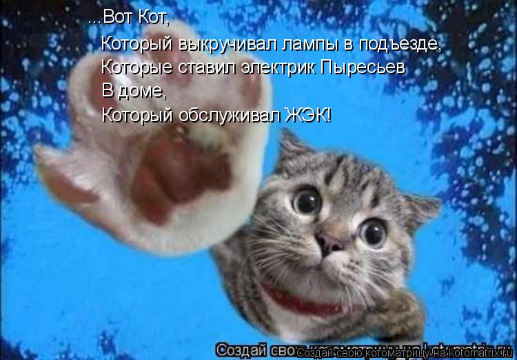 ...Вот Кот, Который выкручивал лампы в подъезде, Которые ставил электрик Пыресьев В доме, Который об... Котоматрица: ...Вот Кот, Который выкручивал лампы в подъезде, Которые ставил электрик Пыресьев В доме, Который обслуживал ЖЭК!