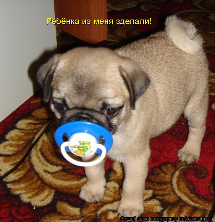 Ребёнка из меня зделали!... Котоматрица: Ребёнка из меня зделали!