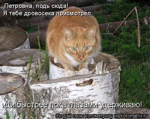 Петровна, подь сюда! Я тебе дровосека присмотрел иди быстрее пока глазами удерживаю!... Котоматрица: Петровна, подь сюда! Я тебе дровосека присмотрел иди быстрее пока глазами удерживаю!