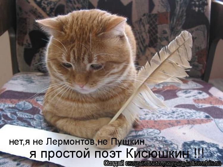 нет,я не Лермонтов,не Пушкин, я простой поэт Кисюшкин !!!... Котоматрица: нет,я не Лермонтов,не Пушкин, я простой поэт Кисюшкин !!!