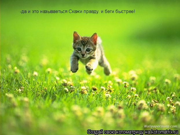 -да и это называеться Скажи правду… и беги быстрее!... Котоматрица: -да и это называеться Скажи правду… и беги быстрее!