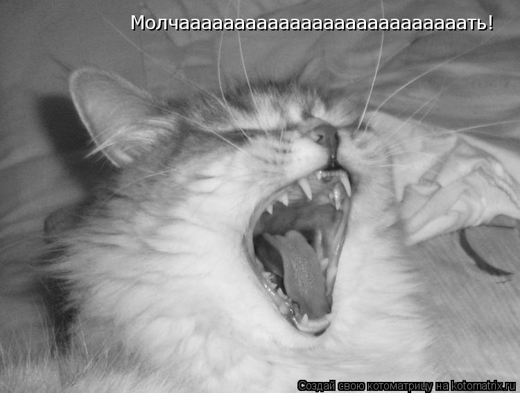 Молчаааааааааааааааааааааааааать!... Котоматрица: Молчаааааааааааааааааааааааааать!