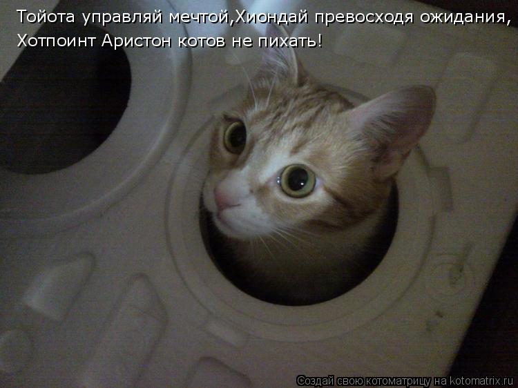 Тойота управляй мечтой,Хиондай превосходя ожидания Тойота управляй мечтой,Хиондай превосходя ожидания... Котоматрица: Тойота управляй мечтой,Хиондай превосходя ожидания Тойота управляй мечтой,Хиондай превосходя ожидания, Хотпоинт Аристон котов не пихать!