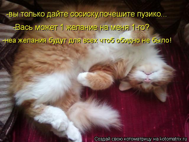 -вы только дайте сосиску,почешите пузико... -Вась может 1 желание на меня 1-го? -неа желания будут дл... Котоматрица: -вы только дайте сосиску,почешите пузико... -Вась может 1 желание на меня 1-го? -неа желания будут для всех чтоб обидно не было!