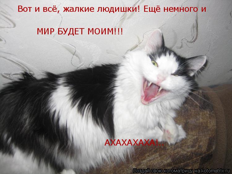 Вот и всё, жалкие людишки! Ещё немного и МИР БУДЕТ МОИМ!!! АХАХАХАХА!..... Котоматрица: Вот и всё, жалкие людишки! Ещё немного и МИР БУДЕТ МОИМ!!! АХАХАХАХА!..