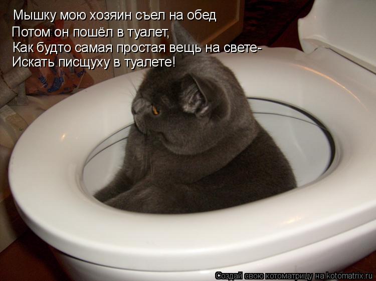 Мышку мою хозяин съел на обед Потом он пошёл в туалет, Как будто самая простая вещь на свете- Искать ... Котоматрица: Мышку мою хозяин съел на обед Потом он пошёл в туалет, Как будто самая простая вещь на свете- Искать писщуху в туалете!