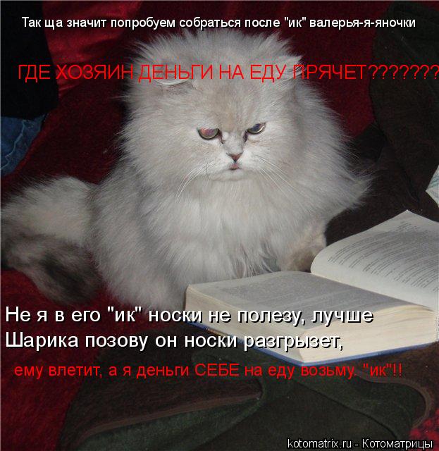 Не я в его "ик" носки не полезу, лучше Шарика позову он носки разгрызет, Так ща значит попробуем собр... Котоматрица: Не я в его "ик" носки не полезу, лучше Шарика позову он носки разгрызет, Так ща значит попробуем собраться после "ик" валерья-я-яночки ему влет