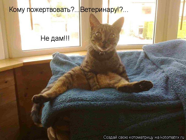 Кому пожертвовать?...Ветеринару!?... Не дам!!!... Котоматрица: Кому пожертвовать?...Ветеринару!?... Не дам!!!