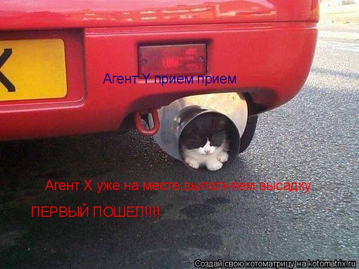 Агент Y прием прием Агент Х уже на месте,выполняем высадку ПЕРВЫЙ ПОШЕЛ!!!!... Котоматрица: Агент Y прием прием Агент Х уже на месте,выполняем высадку ПЕРВЫЙ ПОШЕЛ!!!!