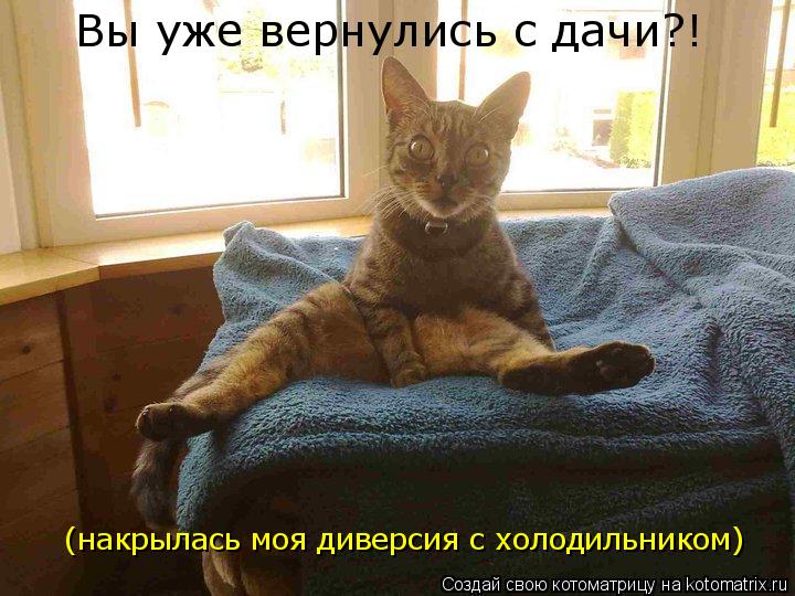 Вы уже вернулись с дачи?! (накрылась моя диверсия с холодильником)... Котоматрица: Вы уже вернулись с дачи?! (накрылась моя диверсия с холодильником)