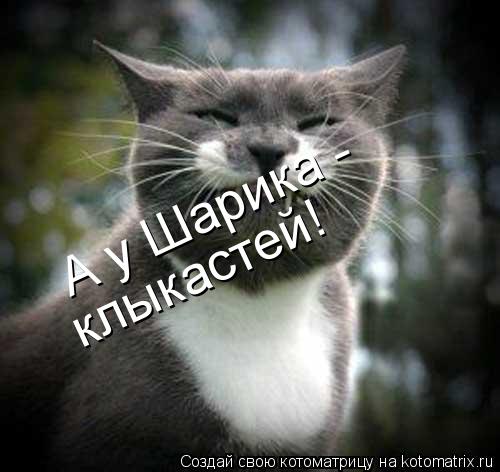 А у Шарика - клыкастей!... Котоматрица: А у Шарика - клыкастей!