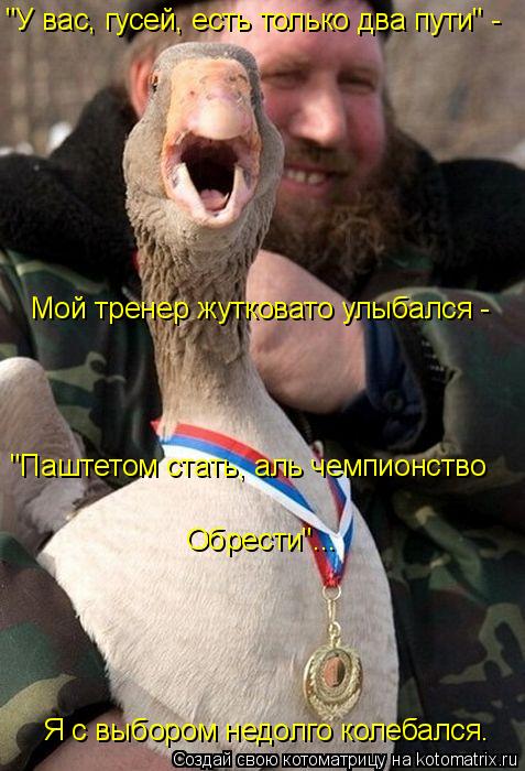 "У вас, гусей, есть только два пути" - Мой тренер жутковато улыбался - "Паштетом стать, аль чемпионс... Котоматрица: "У вас, гусей, есть только два пути" - Мой тренер жутковато улыбался - "Паштетом стать, аль чемпионство Обрести"... Я с выбором недолго колебалс