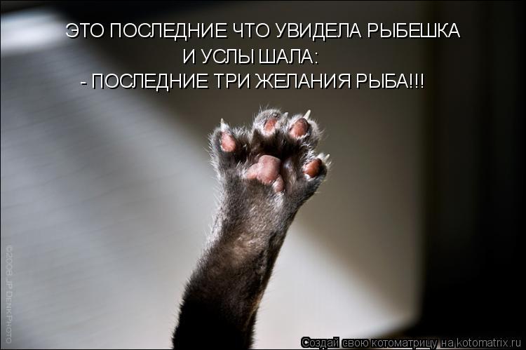ЭТО ПОСЛЕДНИЕ ЧТО УВИДЕЛА РЫБЕШКА И УСЛЫ ШАЛА: - ПОСЛЕДНИЕ ТРИ ЖЕЛАНИЯ РЫБА!!!... Котоматрица: ЭТО ПОСЛЕДНИЕ ЧТО УВИДЕЛА РЫБЕШКА И УСЛЫ ШАЛА: - ПОСЛЕДНИЕ ТРИ ЖЕЛАНИЯ РЫБА!!!