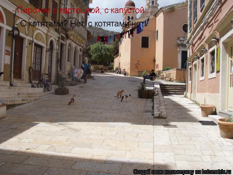 - С котятами? Нет, с котятами нет! - Пирожки с картошкой, с капустой...... Котоматрица: - С котятами? Нет, с котятами нет! - Пирожки с картошкой, с капустой...