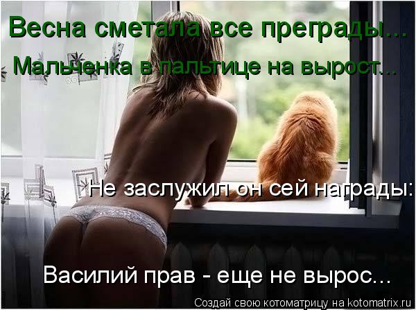 Весна сметала все преграды... Мальченка в пальтице на вырост... Не заслужил он сей награды: Василий п... Котоматрица: Весна сметала все преграды... Мальченка в пальтице на вырост... Не заслужил он сей награды: Василий прав - еще не вырос...