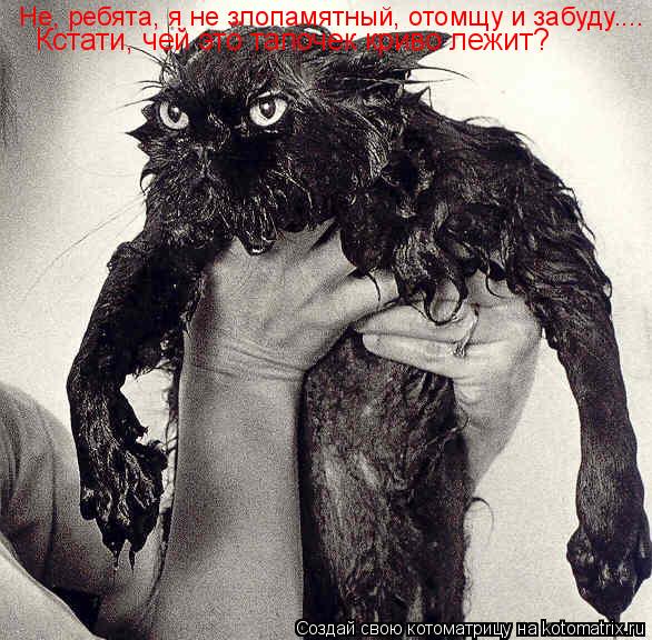 Кстати, чей это тапочек криво лежит? Не, ребята, я не злопамятный, отомщу и забуду....... Котоматрица: Кстати, чей это тапочек криво лежит? Не, ребята, я не злопамятный, отомщу и забуду....