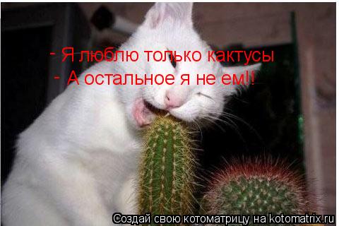 Я люблю только кактусы А остальное я не ем!! - -... Котоматрица: Я люблю только кактусы А остальное я не ем!! - -