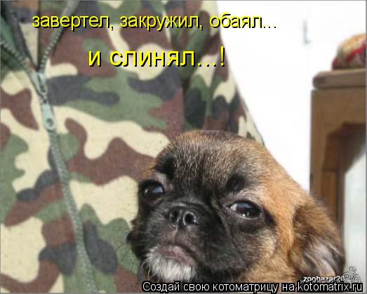 завертел, закружил, обаял... и слинял...!... Котоматрица: завертел, закружил, обаял... и слинял...!