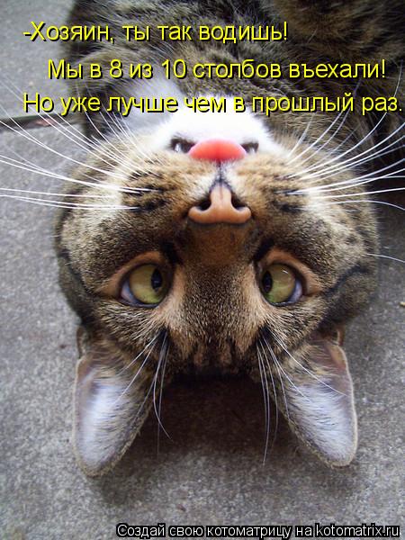 -Хозяин, ты так водишь! Мы в 8 из 10 столбов въехали! Но уже лучше чем в прошлый раз.... Котоматрица: -Хозяин, ты так водишь! Мы в 8 из 10 столбов въехали! Но уже лучше чем в прошлый раз.