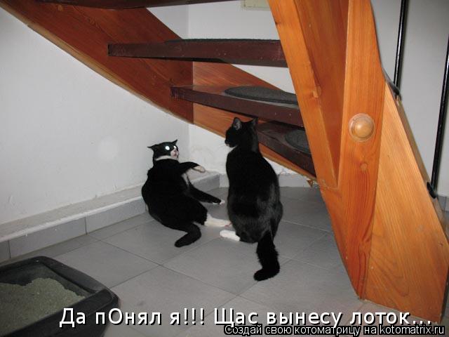 Да пОнял я!!! Щас вынесу лоток...... Котоматрица: Да пОнял я!!! Щас вынесу лоток...