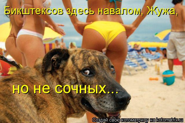 Бикштексов здесь навалом, Жужа, но не сочных...... Котоматрица: Бикштексов здесь навалом, Жужа, но не сочных...