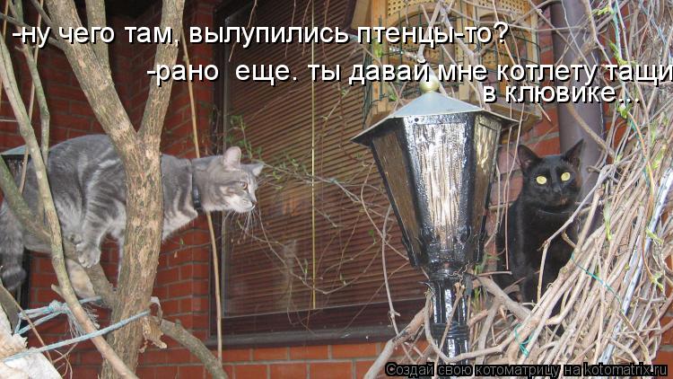 -ну чего там, вылупились птенцы-то? -рано еще. ты давай мне котлету тащи в клювике, в клювике... -ра... Котоматрица: -ну чего там, вылупились птенцы-то? -рано еще. ты давай мне котлету тащи в клювике, в клювике... -рано еще. ты давай мне котлету тащи
