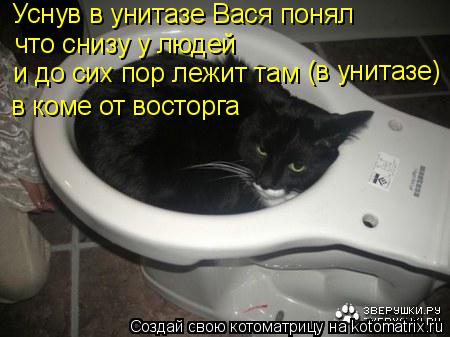 Уснув в унитазе Вася понял что снизу у людей и до сих пор лежит там (в унитазе) в коме от восторга... Котоматрица: Уснув в унитазе Вася понял что снизу у людей и до сих пор лежит там (в унитазе) в коме от восторга
