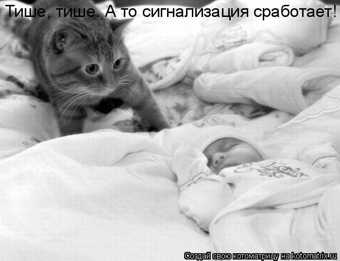 Тише, тише. А то сигнализация сработает!... Котоматрица: Тише, тише. А то сигнализация сработает!