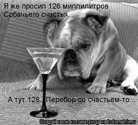 Котоматрица: Я же просил 126 миллилитров  Собачьего счастья... А тут 128...Перебор со счастьем-то...