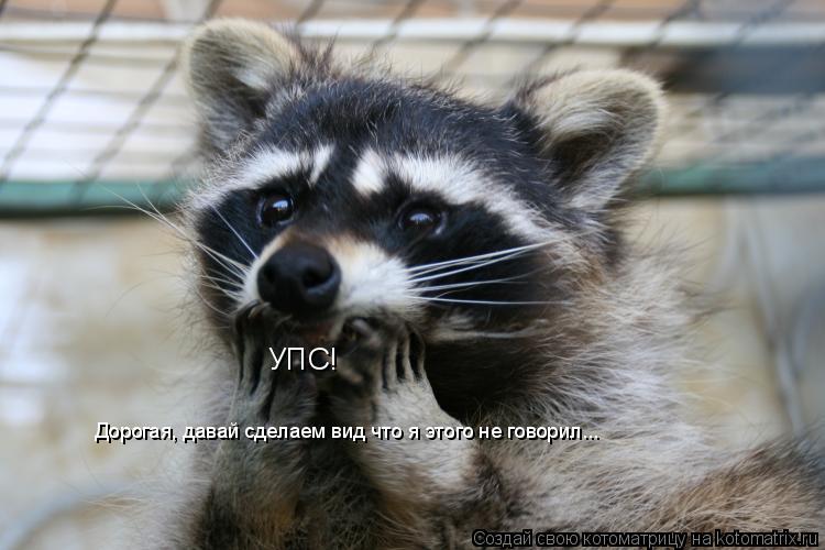 Котоматрица: УПС! Дорогая, давай сделаем вид что я этого не говорил...