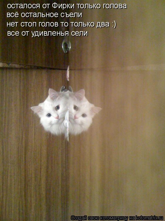 Котоматрица: осталося от Фирки только голова всё остальное съели нет стоп голов то только два все от удивленья сели :)
