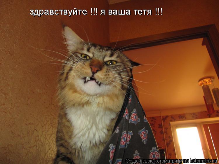Котоматрица: здравствуйте !!! я ваша тетя !!!