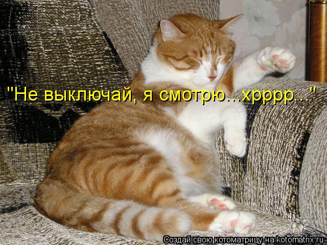 "Не выключай, я смотрю...хрррр..."... Котоматрица: "Не выключай, я смотрю...хрррр..."
