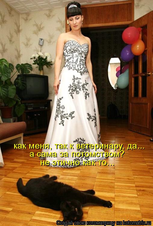 Котоматрица: как меня, так к ветеринару, да... а сама за потомством? не этично как то...