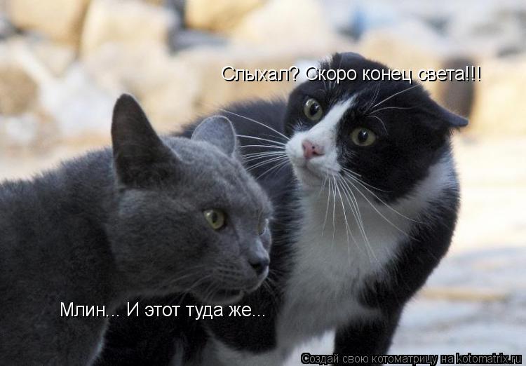 Слыхал? Скоро конец света!!! Млин... И этот туда же...... Котоматрица: Слыхал? Скоро конец света!!! Млин... И этот туда же...