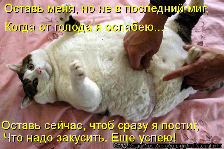 Оставь меня, но не в последний миг, Оставь сейчас, чтоб сразу я постиг, Что надо закусить. Еще успе... Котоматрица: Оставь меня, но не в последний миг, Оставь сейчас, чтоб сразу я постиг, Что надо закусить. Еще успею! Когда от голода я ослабею...