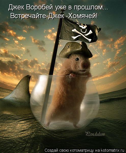 Джек Воробей уже в прошлом... Встречайте-Джек -Хомячей!... Котоматрица: Джек Воробей уже в прошлом... Встречайте-Джек -Хомячей!