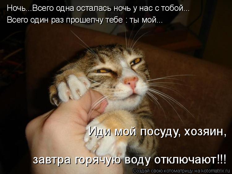 Ночь...Всего одна осталась ночь у нас с тобой... Всего один раз прошепчу тебе : ты мой... Иди мой пос... Котоматрица: Ночь...Всего одна осталась ночь у нас с тобой... Всего один раз прошепчу тебе : ты мой... Иди мой посуду, хозяин, завтра горячую воду отключают!!!