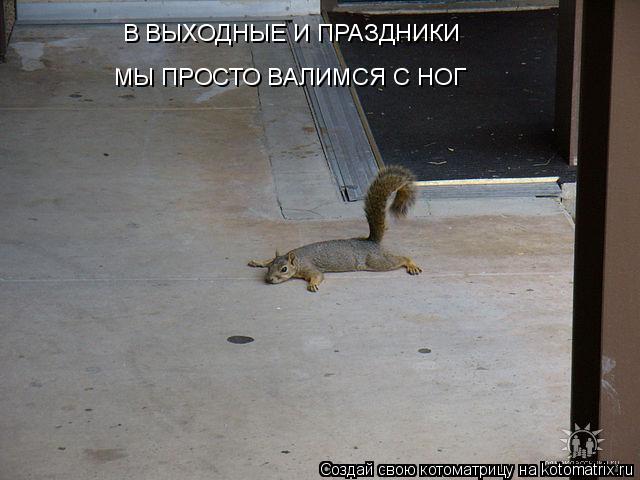В ВЫХОДНЫЕ И ПРАЗДНИКИ МЫ ПРОСТО ВАЛИМСЯ С НОГ... Котоматрица: В ВЫХОДНЫЕ И ПРАЗДНИКИ МЫ ПРОСТО ВАЛИМСЯ С НОГ