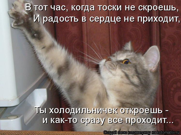 Котоматрица: В тот час, когда тоски не скроешь,  И радость в сердце не приходит,  Ты холодильничек откроешь -  и как-то сразу все проходит...