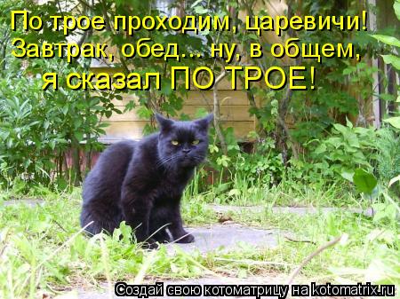 По трое проходим, царевичи! Завтрак, обед... ну, в общем, я сказал ПО ТРОЕ!... Котоматрица: По трое проходим, царевичи! Завтрак, обед... ну, в общем, я сказал ПО ТРОЕ!