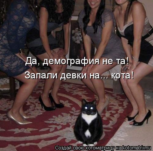 Да, демография не та! Запали девки на... кота!... Котоматрица: Да, демография не та! Запали девки на... кота!