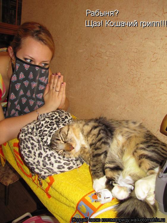 Рабыня? Щаз! Кошачий грипп!!!... Котоматрица: Рабыня? Щаз! Кошачий грипп!!!