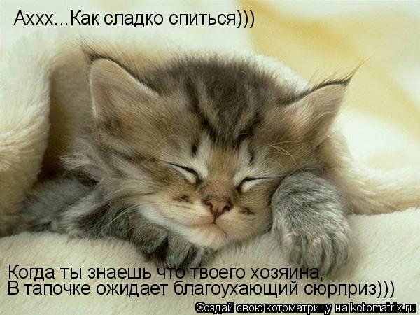 Аххх...Как сладко спиться))) Когда ты знаешь что твоего хозяина, В тапочке ожидает благоухающий сюрп... Котоматрица: Аххх...Как сладко спиться))) Когда ты знаешь что твоего хозяина, В тапочке ожидает благоухающий сюрприз)))