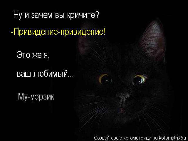 Ну и зачем вы кричите? -Привидение-привидение! Это же я, ваш любимый... Му-уррзик... Котоматрица: Ну и зачем вы кричите? -Привидение-привидение! Это же я, ваш любимый... Му-уррзик