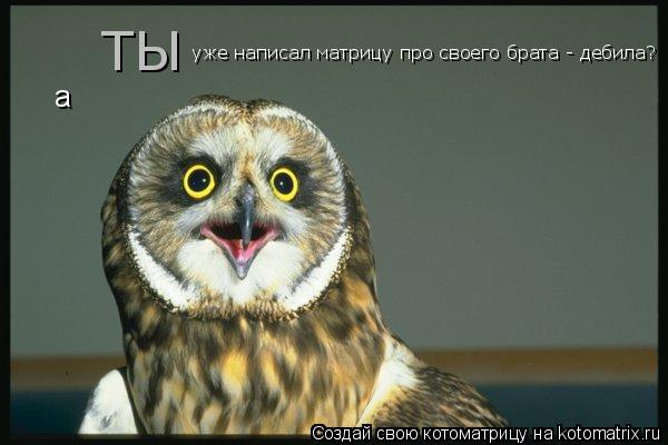 а ТЫ уже написал матрицу про своего брата - дебила?... Котоматрица: а ТЫ уже написал матрицу про своего брата - дебила?