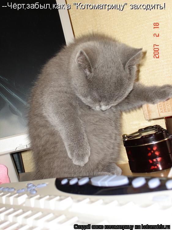 --Чёрт,забыл,как в "Котоматрицу" заходить!... Котоматрица: --Чёрт,забыл,как в "Котоматрицу" заходить!