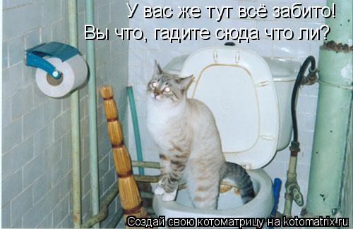 У вас же тут всё забито! Вы что, гадите сюда что ли?... Котоматрица: У вас же тут всё забито! Вы что, гадите сюда что ли?