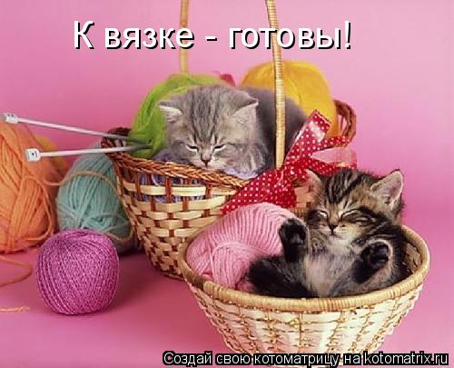К вязке - готовы!... Котоматрица: К вязке - готовы!